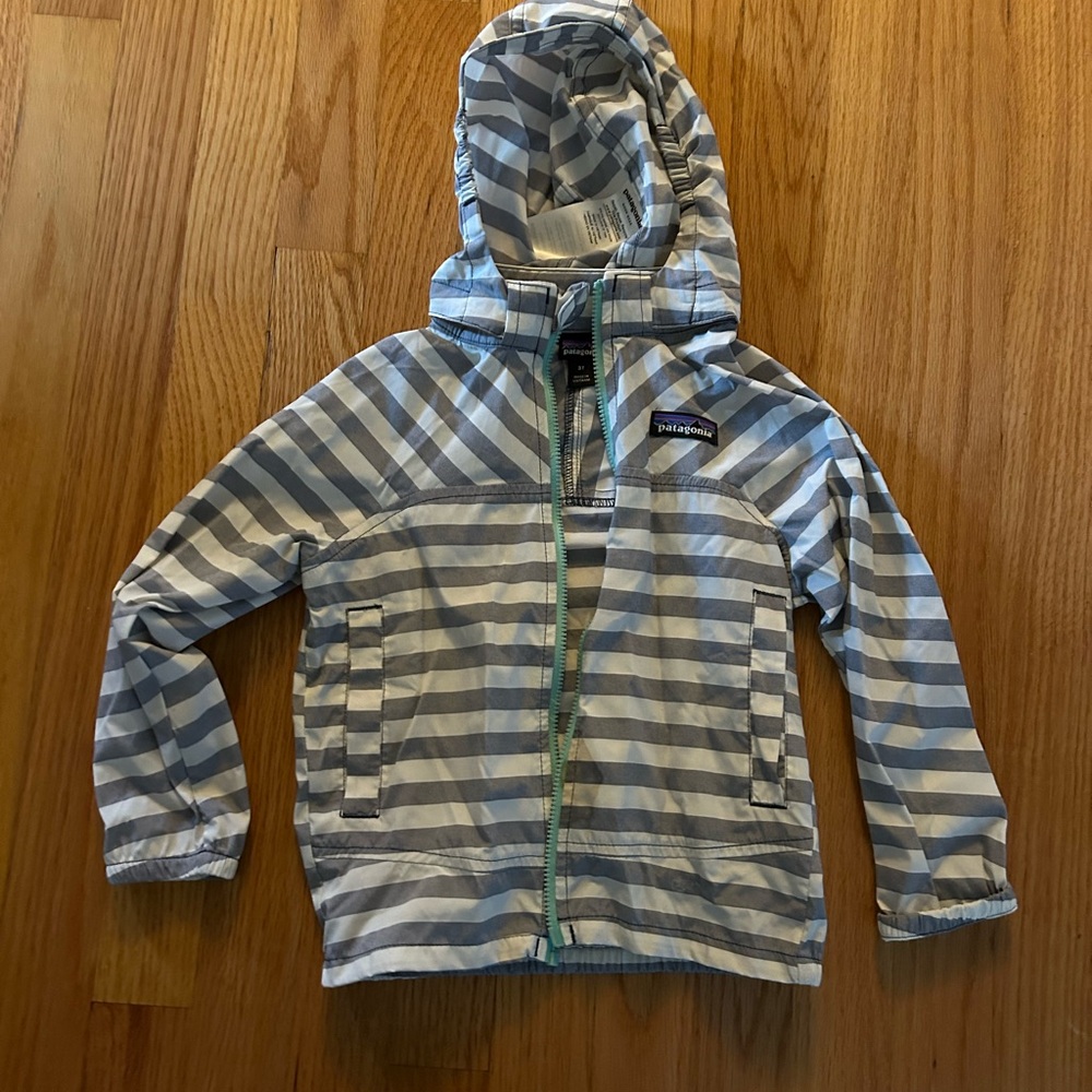 Patagonia Striped Hooded Jacket